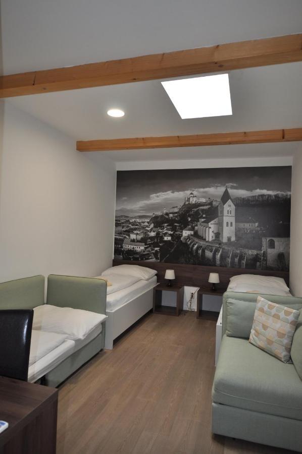 Penzion Arenaostrov Trenčín Exteriér fotografie